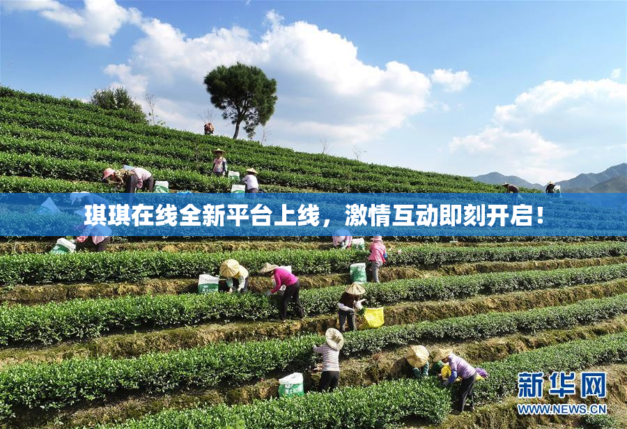 琪琪在线全新平台上线，激情互动即刻开启！