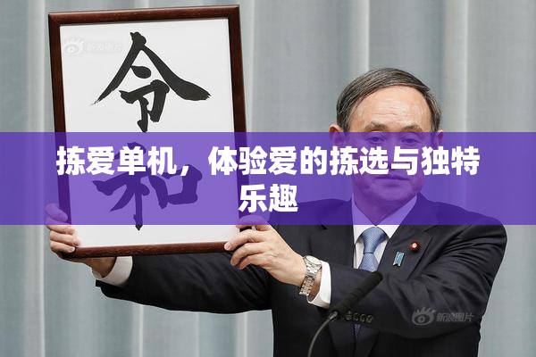 拣爱单机，体验爱的拣选与独特乐趣