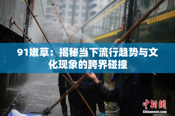 91嫩草：揭秘当下流行趋势与文化现象的跨界碰撞