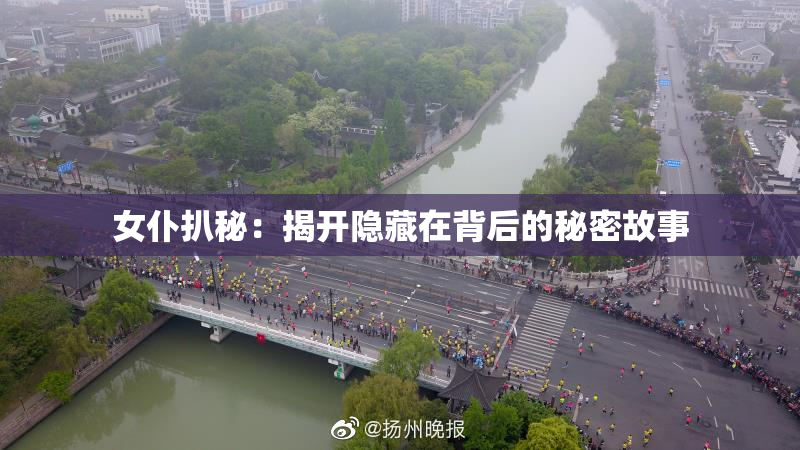 女仆扒秘：揭开隐藏在背后的秘密故事