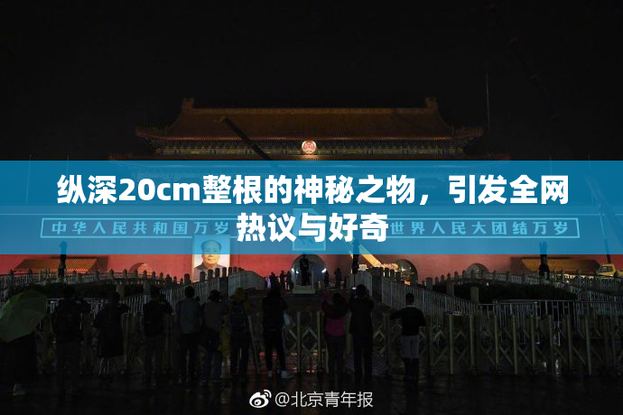 纵深20cm整根的神秘之物，引发全网热议与好奇
