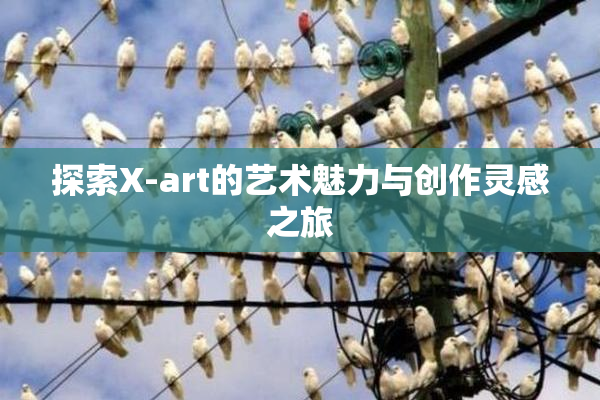 探索X-art的艺术魅力与创作灵感之旅