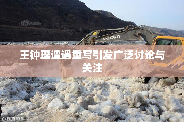 王钟瑶遭遇重写引发广泛讨论与关注