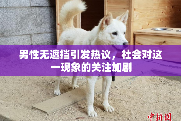 男性无遮挡引发热议，社会对这一现象的关注加剧