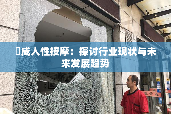 巜成人性按摩：探讨行业现状与未来发展趋势