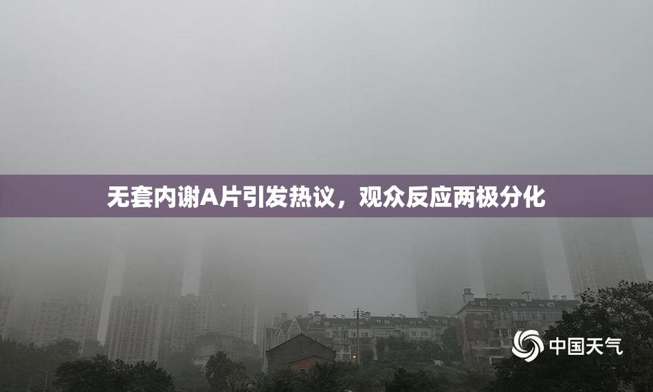 无套内谢A片引发热议，观众反应两极分化