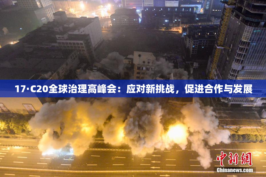 17·C20全球治理高峰会：应对新挑战，促进合作与发展