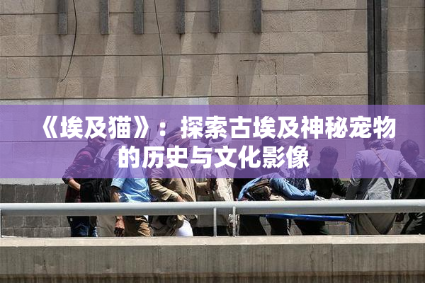 《埃及猫》：探索古埃及神秘宠物的历史与文化影像