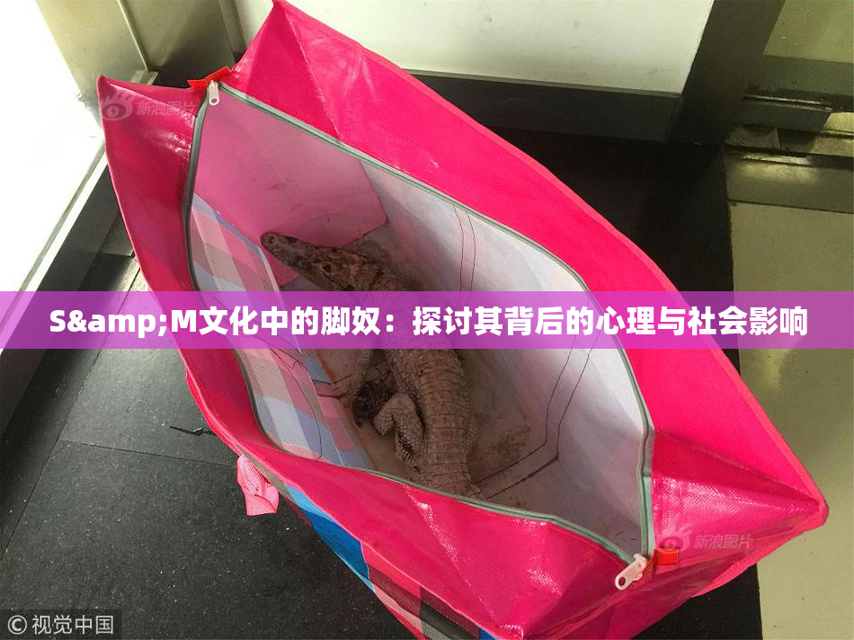 S&M文化中的脚奴：探讨其背后的心理与社会影响