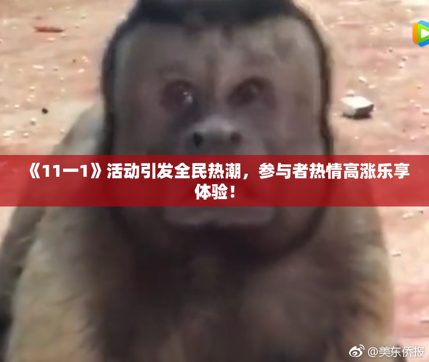 《11一1》活动引发全民热潮，参与者热情高涨乐享体验！