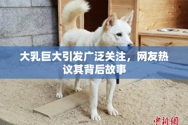 大乳巨大引发广泛关注，网友热议其背后故事