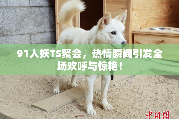 91人妖TS聚会，热情瞬间引发全场欢呼与惊艳！