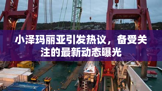 小泽玛丽亚引发热议，备受关注的最新动态曝光