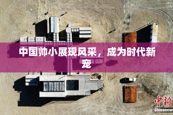 中国帅小展现风采，成为时代新宠