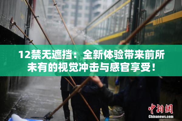 12禁无遮挡：全新体验带来前所未有的视觉冲击与感官享受！