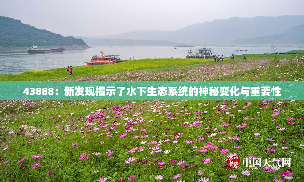 43888：新发现揭示了水下生态系统的神秘变化与重要性