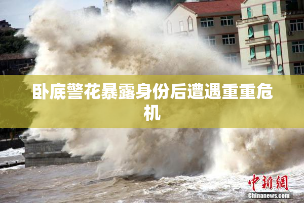 卧底警花暴露身份后遭遇重重危机