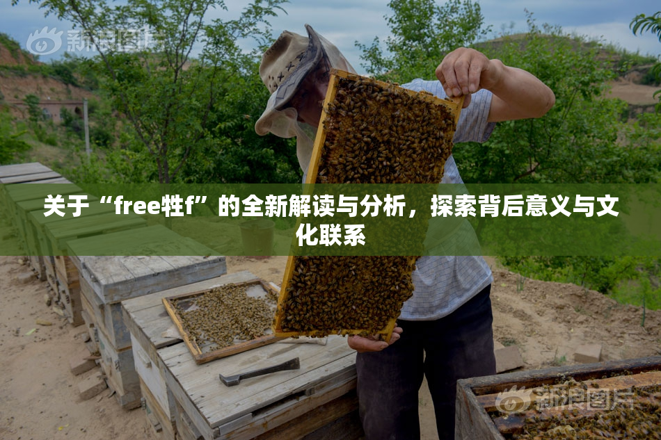 关于“free牲f”的全新解读与分析，探索背后意义与文化联系
