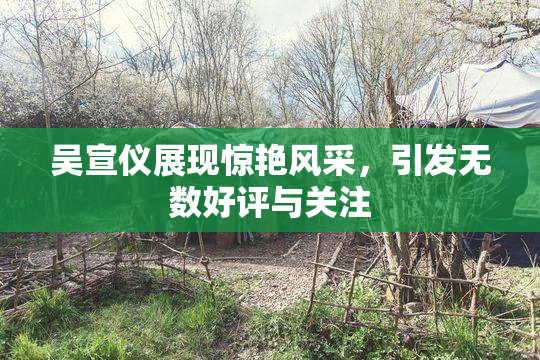 吴宣仪展现惊艳风采，引发无数好评与关注