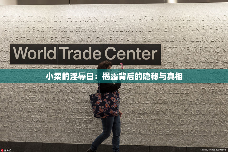 小柔的淫辱日：揭露背后的隐秘与真相
