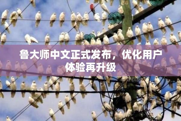 鲁大师中文正式发布，优化用户体验再升级