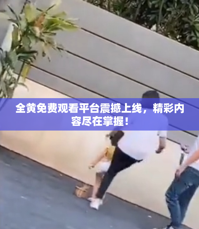 全黄免费观看平台震撼上线，精彩内容尽在掌握！