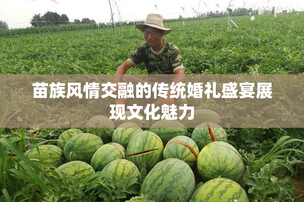 苗族风情交融的传统婚礼盛宴展现文化魅力
