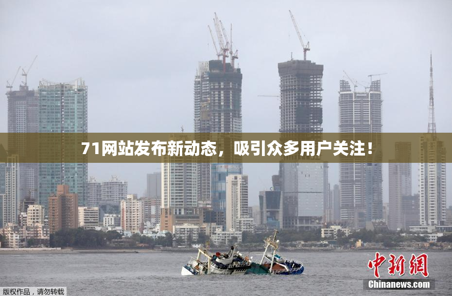 71网站发布新动态，吸引众多用户关注！