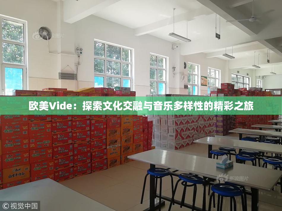 欧美Vide：探索文化交融与音乐多样性的精彩之旅
