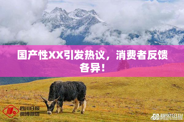 国产性XX引发热议，消费者反馈各异！