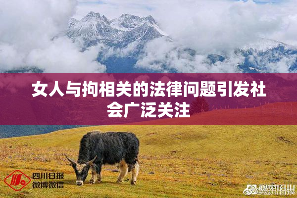 女人与拘相关的法律问题引发社会广泛关注