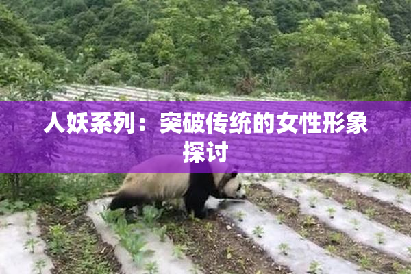 人妖系列：突破传统的女性形象探讨