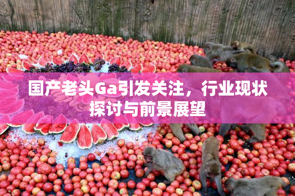 国产老头Ga引发关注，行业现状探讨与前景展望