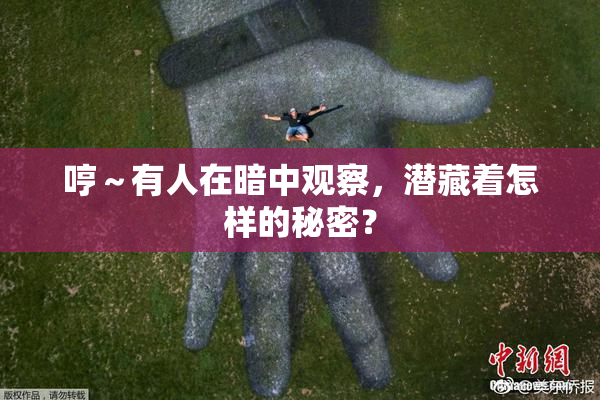 哼～有人在暗中观察，潜藏着怎样的秘密？