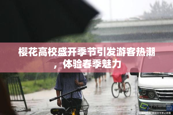 樱花高校盛开季节引发游客热潮，体验春季魅力