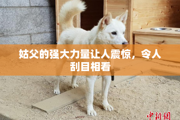 姑父的强大力量让人震惊，令人刮目相看
