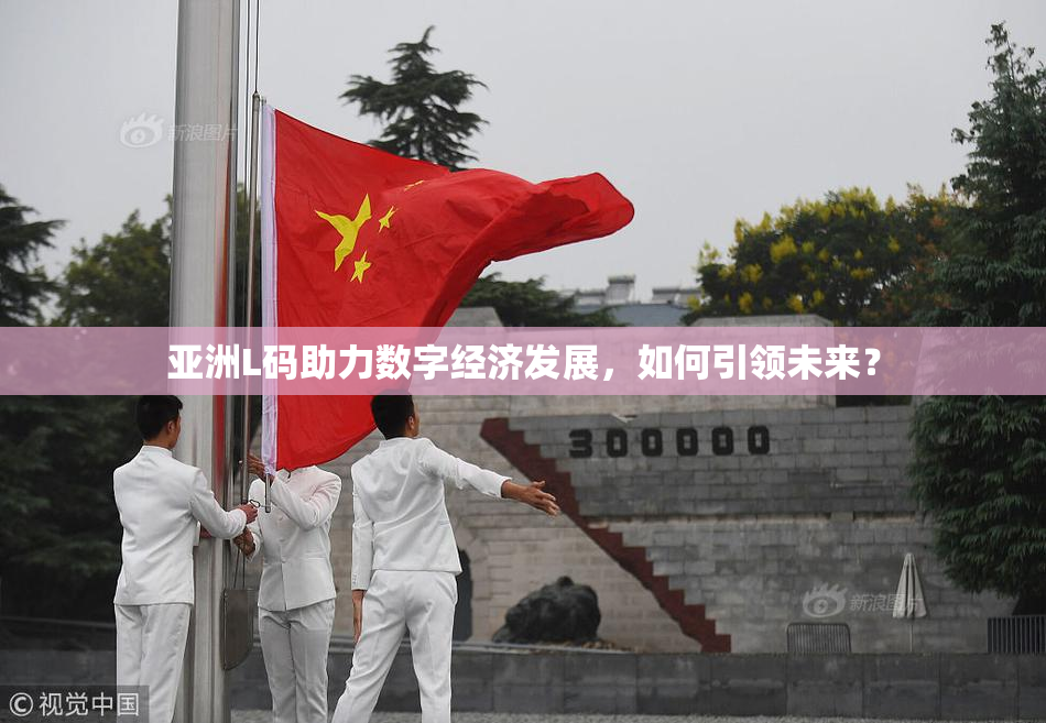 亚洲L码助力数字经济发展，如何引领未来？