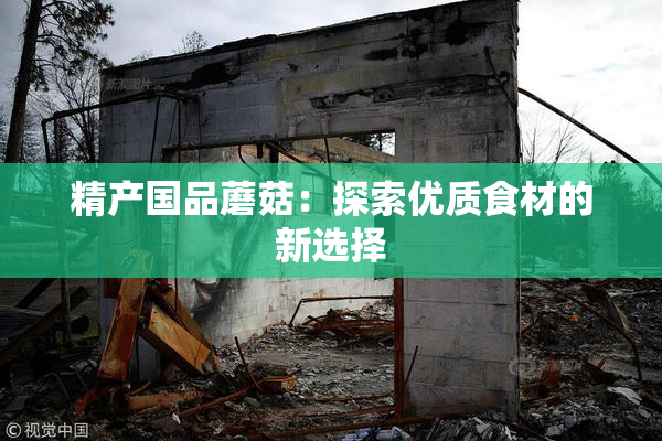 精产国品蘑菇：探索优质食材的新选择