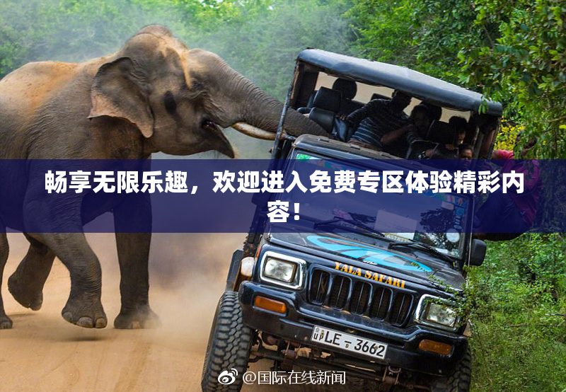 畅享无限乐趣，欢迎进入免费专区体验精彩内容！