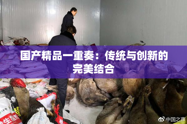 国产精品一重奏：传统与创新的完美结合