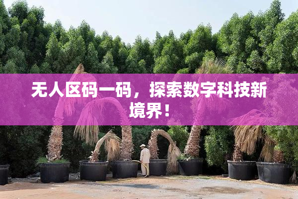 无人区码一码，探索数字科技新境界！