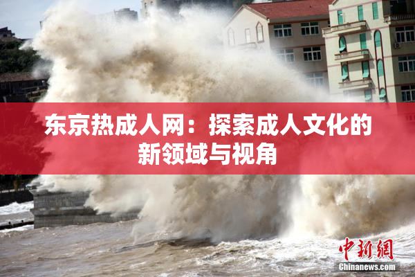 东京热成人网：探索成人文化的新领域与视角