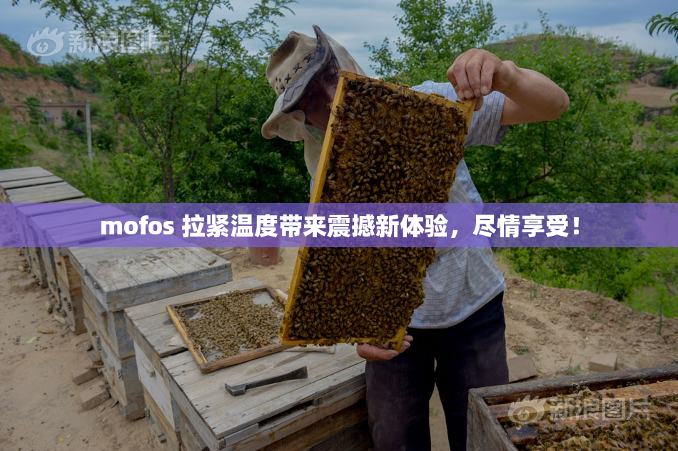 mofos 拉紧温度带来震撼新体验，尽情享受！