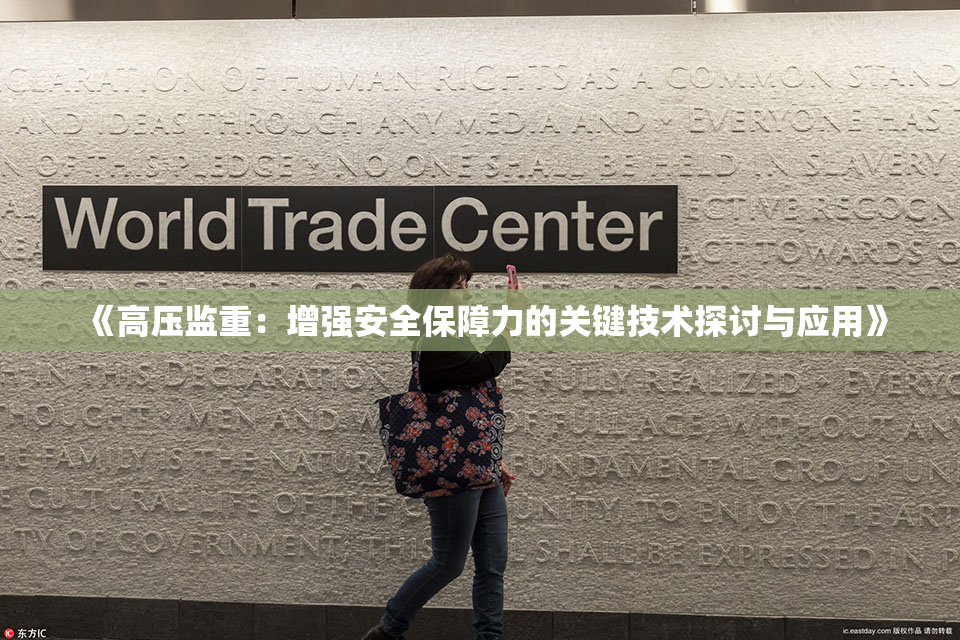 《高压监重：增强安全保障力的关键技术探讨与应用》