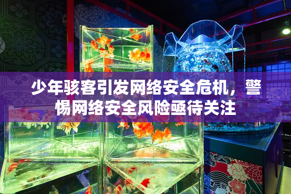 少年骇客引发网络安全危机，警惕网络安全风险亟待关注
