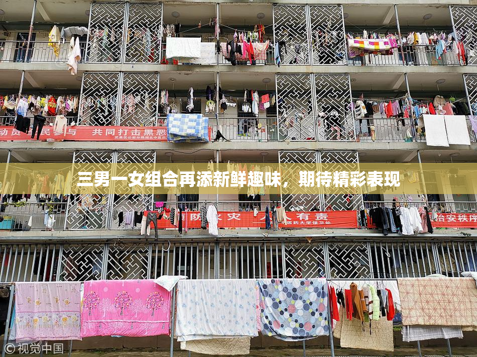 三男一女组合再添新鲜趣味，期待精彩表现