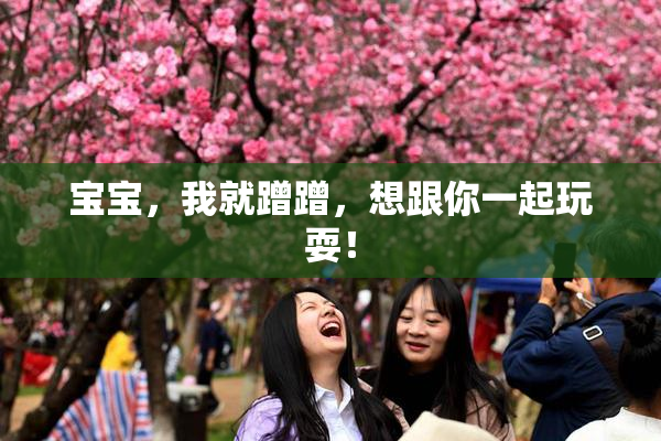 宝宝，我就蹭蹭，想跟你一起玩耍！