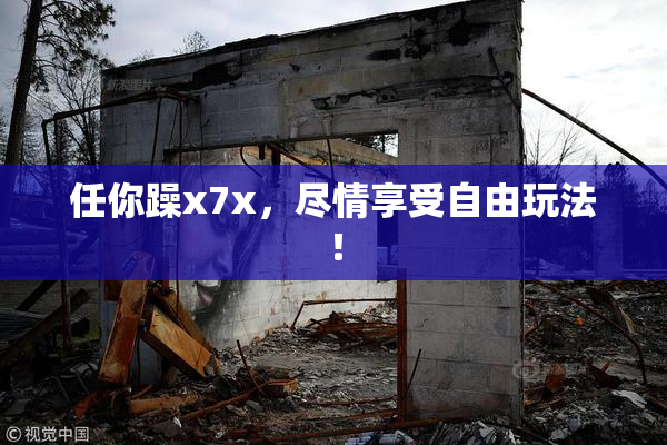 任你躁x7x，尽情享受自由玩法！