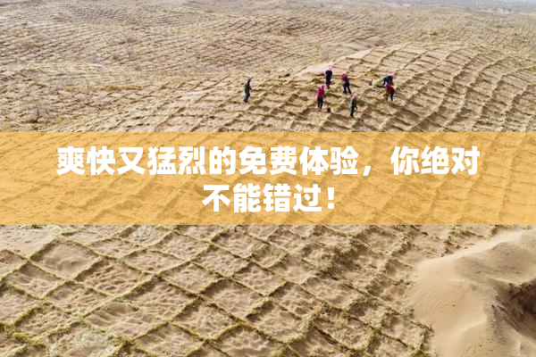 爽快又猛烈的免费体验，你绝对不能错过！