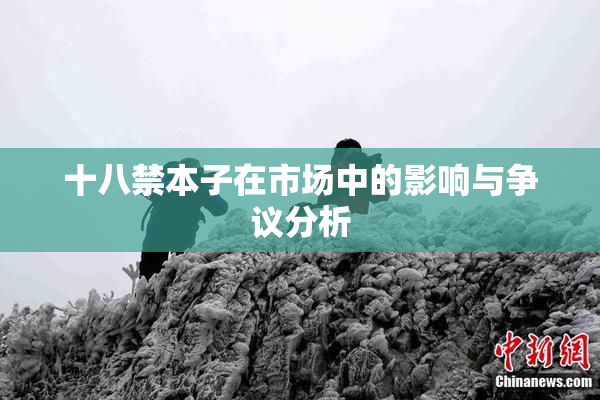 十八禁本子在市场中的影响与争议分析